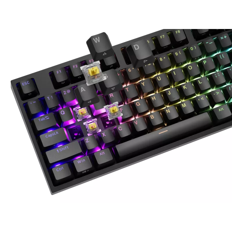 GENESIS THOR 404 keyboard Universal USB QWERTY English Black
