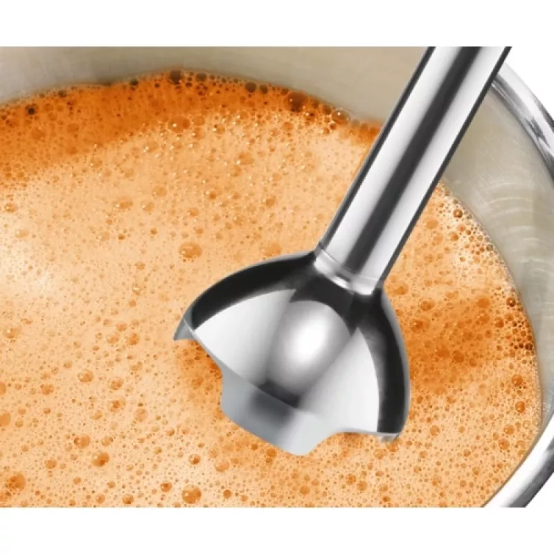 Bosch MSM2610B blender Immersion blender 600 W Anthracite