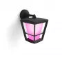 Smart wall light Philips Hue White and colour ambience Econic Outdoor Wall Light