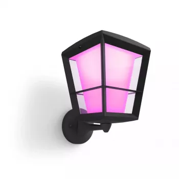 Smart wall light Philips Hue White and colour ambience Econic Outdoor Wall Light