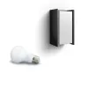 Smart wall light Philips Hue White Turaco Outdoor