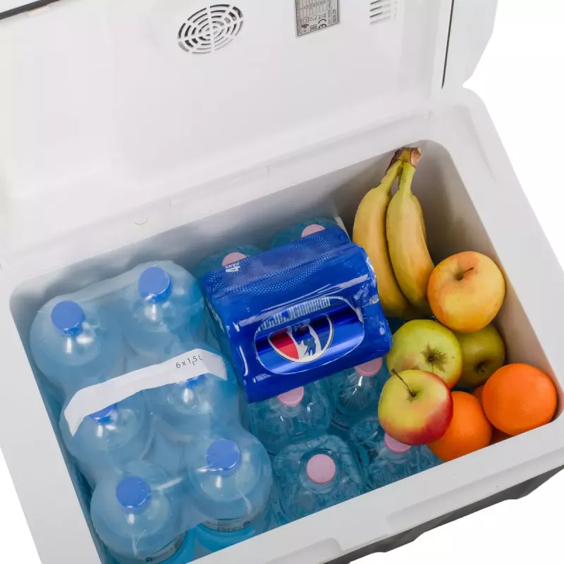 Portable cooler Adler AD 8090 — 40 L 12 V car fridge, Peltier cooling, 220–240 V mains, wheels