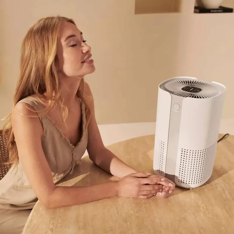 Air purifier Duux Smart Air Purifier Bright 2 — 22 W, for rooms up to 42 m²