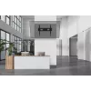 Neomounts heavy duty tv wall mount 125 kg 43-98 inch VESA 100x100-800x600