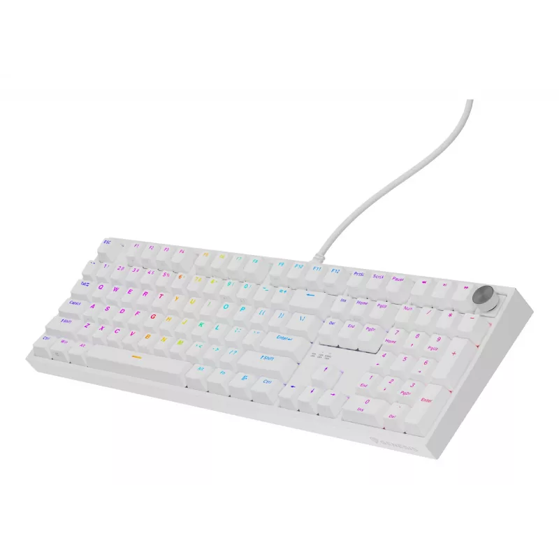 Mechanical keyboard GENESIS THOR 404, full-size USB, QWERTY English, RGB backlight, white