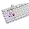 Mechanical keyboard GENESIS THOR 404, full-size USB, QWERTY English, RGB backlight, white