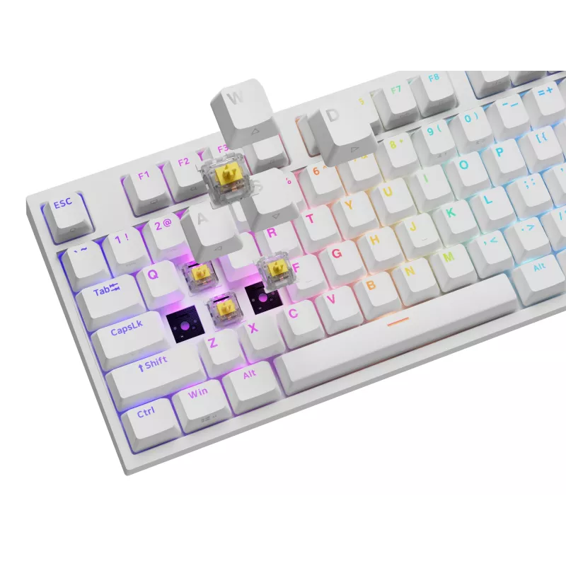 Mechanical keyboard GENESIS THOR 404, full-size USB, QWERTY English, RGB backlight, white