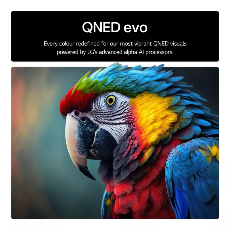 TV LG 55QNED85A3C 55 inch 4K QNED evo Smart TV, WebOS, Motion Pro, Wi‑Fi, Ethernet, DVB-T/T2, Black