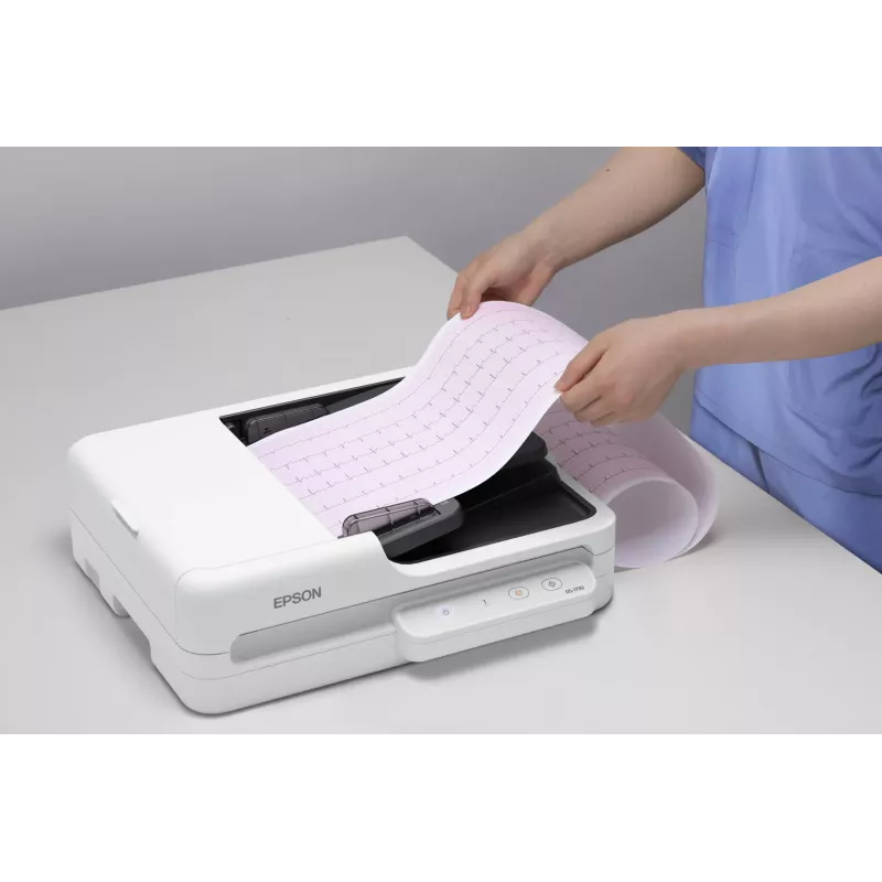 Epson WorkForce DS-1730 Flatbed & ADF scanner 1200 x 1200 DPI A4 Black, White