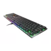 GENESIS Thor 420 RGB keyboard Gaming USB QWERTY US International Silver