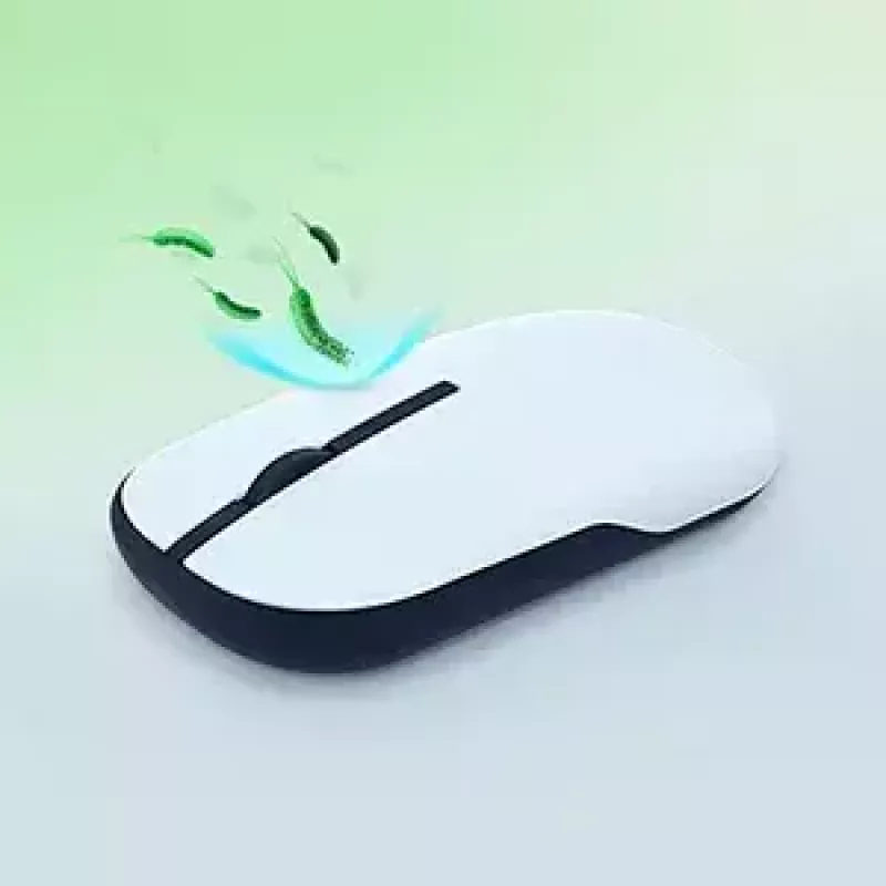ASUS Marshmallow MD100 mouse Office Ambidextrous RF Wireless + Bluetooth Optical 1600 DPI
