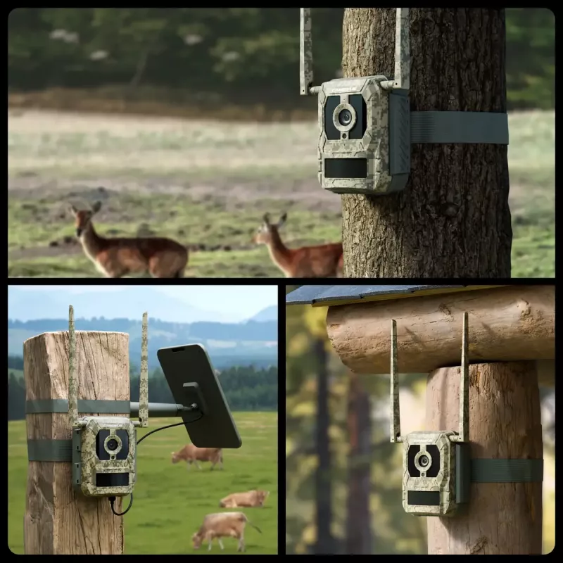 Trail camera Reolink Camovue Talon S130 4G LTE, 8 MP, 3840×2160, 95° H × 50.2° V, IP67, rechargeable USB‑C, outdoor