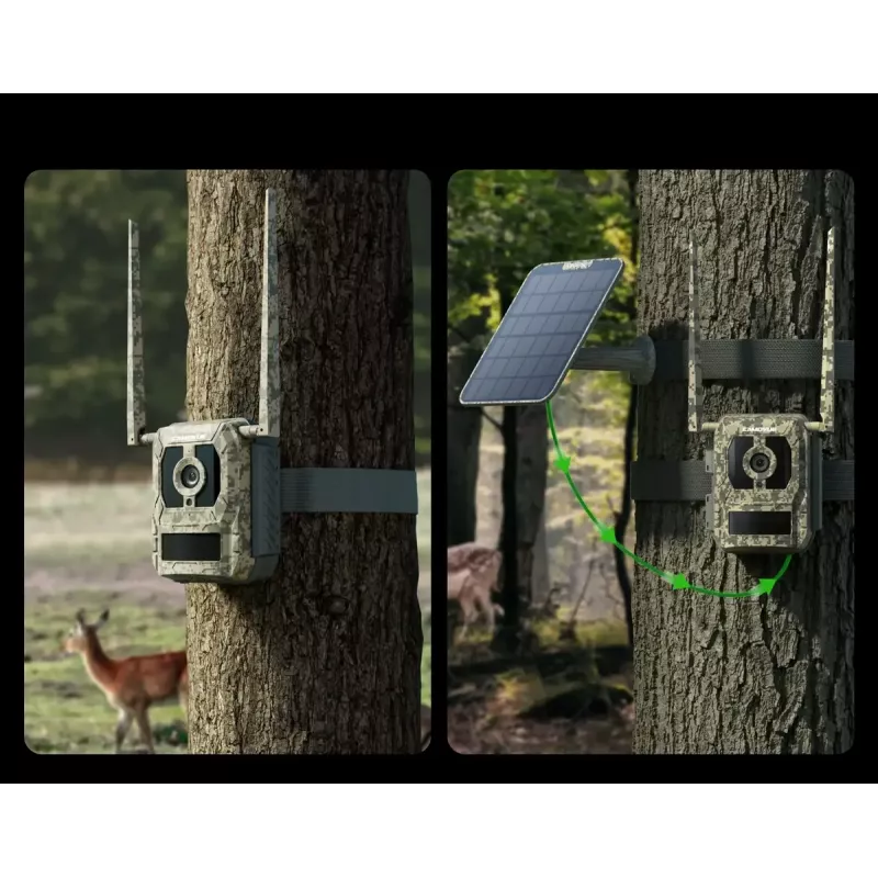 Trail camera Reolink Camovue Talon S130 4G LTE, 8 MP, 3840×2160, 95° H × 50.2° V, IP67, rechargeable USB‑C, outdoor