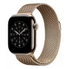 APPLE 42mm Gold Milaneseáloop