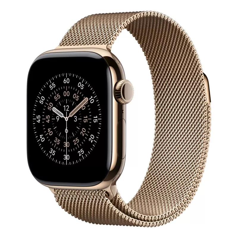 APPLE 42mm Gold Milaneseáloop