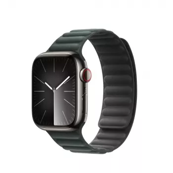 Band Apple 41mm Evergreen Magnetic Link M/L Green