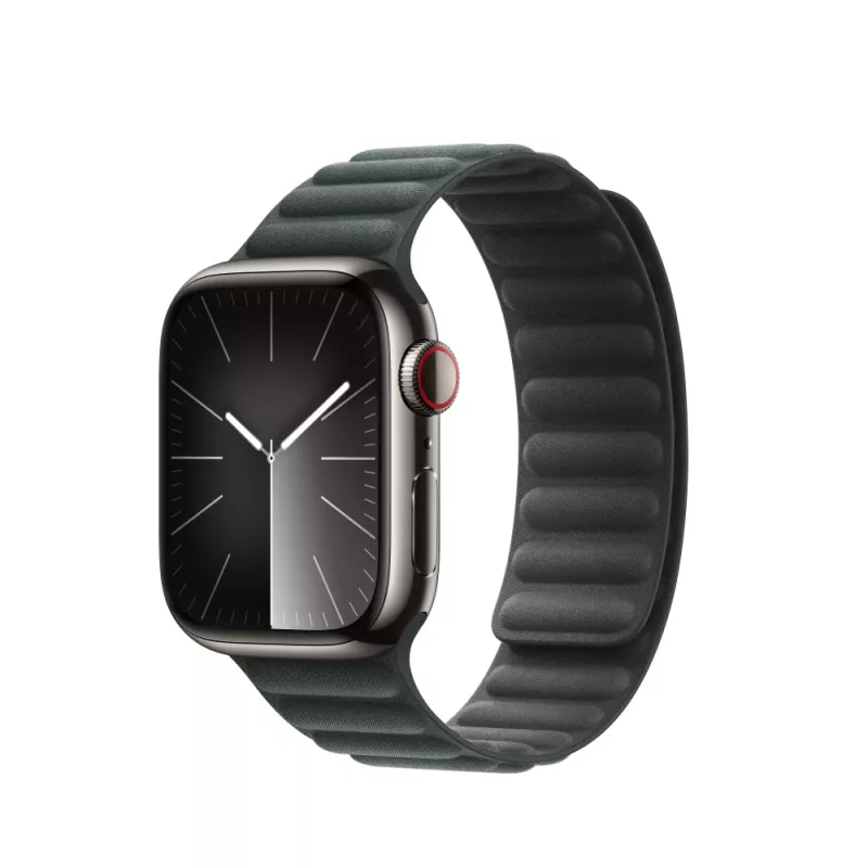 Band Apple 41mm Evergreen Magnetic Link M/L Green