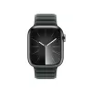 Band Apple 41mm Evergreen Magnetic Link M/L Green