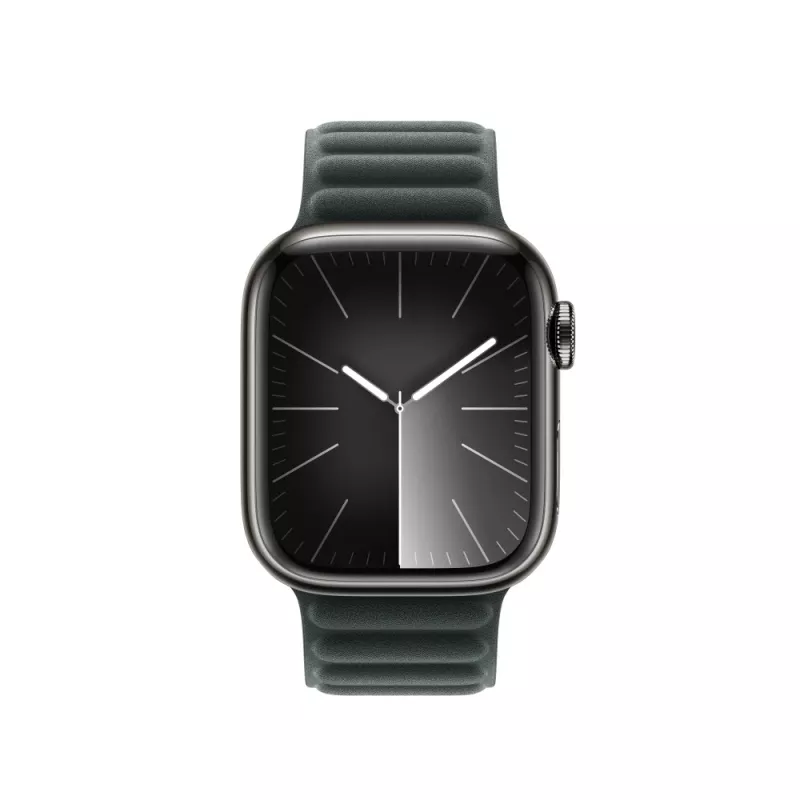 Band Apple 41mm Evergreen Magnetic Link M/L Green