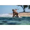 Headset Shokz OpenSwim Pro — open-ear bone conduction wireless headset, IP68 waterproof, Bluetooth 5.4, 32 GB, 9 h playback, grey