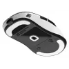 Gaming mouse Endgame Gear XM2we