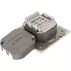 Wall outlet box InLine Cat.6 2x RJ45 horizontal — surface or flush mount
