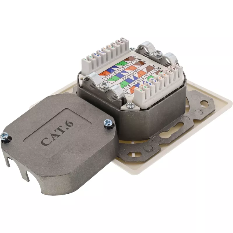 Wall outlet box InLine Cat.6 2x RJ45 horizontal — surface or flush mount