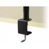 Monitor Mount ARCTIC Z2 Basic