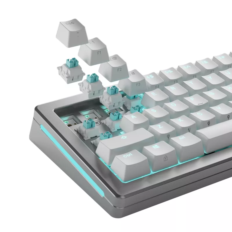 Keyboard switches GLORIOUS Lynx HE — 36-piece polycarbonate cyan translucent set, compatible with GMMK 3 HE