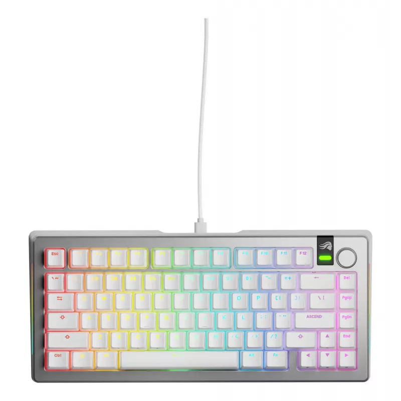 Mechanical Gaming Keyboard GLORIOUS GMMK 3 PRO 75% Wired USB QWERTY RGB Silver (US)