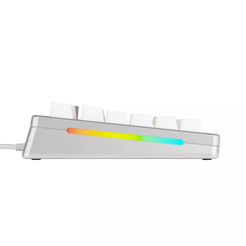 Mechanical Gaming Keyboard GLORIOUS GMMK 3 PRO 75% Wired USB QWERTY RGB Silver (US)