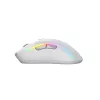 Glorious Gaming Glorious Model D 2 Wireless - Matte White, Right-hand, RF Wireless, 19000 DPI, White