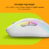 Glorious Gaming Glorious Model D 2 Wireless - Matte White, Right-hand, RF Wireless, 19000 DPI, White