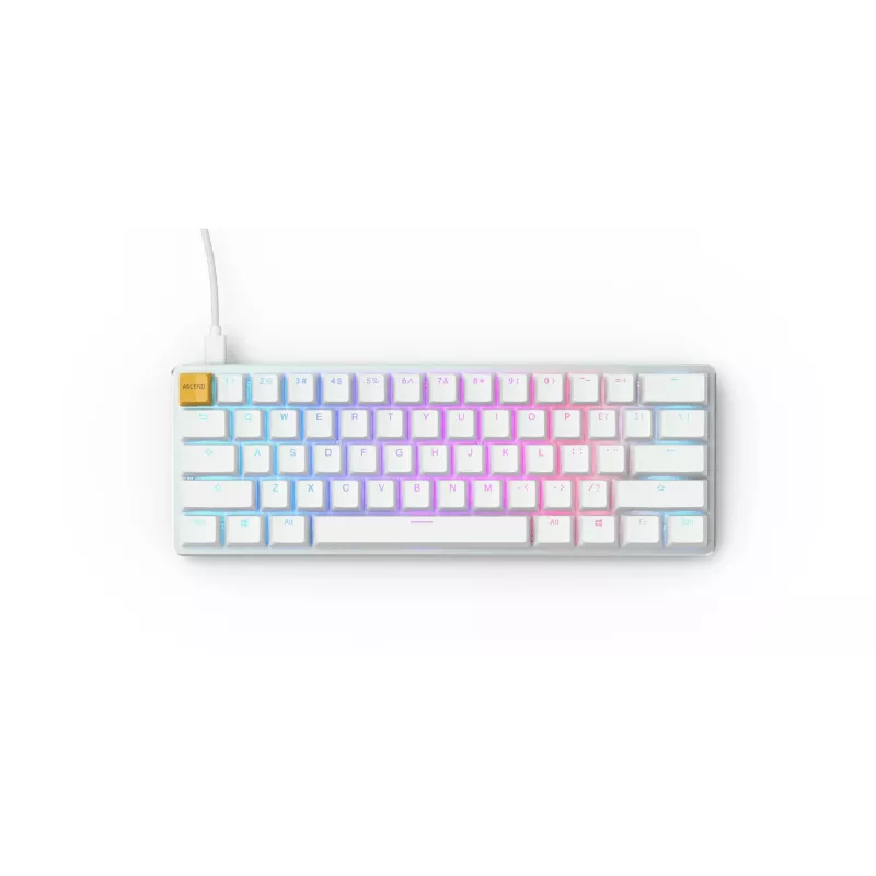 Glorious Gaming GMMK keyboard USB QWERTY US International Silver, White