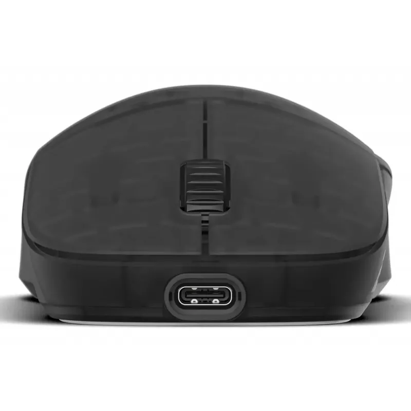 Gaming mouse Endgame Gear XM2w 4k v2 Gaming Mouse - Dark Frost