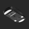 Mouse Endgame Gear OP1we USB Type-A