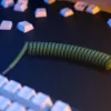 Glorious Gaming Glorious GMMK Coiled Cable Forest Rain, Green, 1.4 m, 1 pc(s), Glorious Gaming, USB Type-A, USB Type-C, Aviator