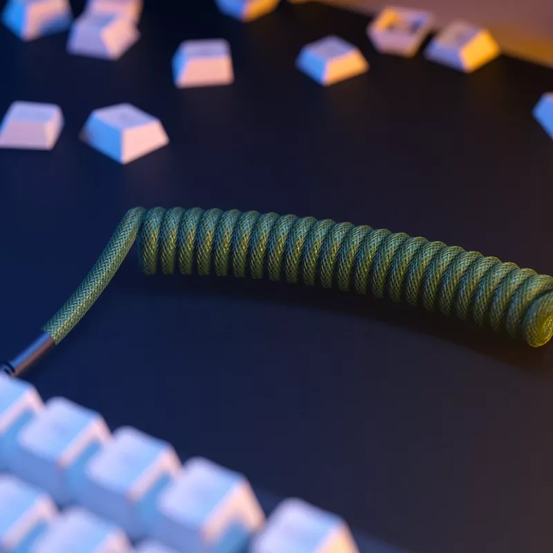 Glorious Gaming Glorious GMMK Coiled Cable Forest Rain, Green, 1.4 m, 1 pc(s), Glorious Gaming, USB Type-A, USB Type-C, Aviator