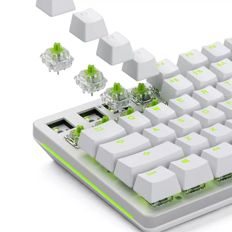Glorious Gaming Glorious Raptor Clicky Mechanical Switches - 36 Pieces