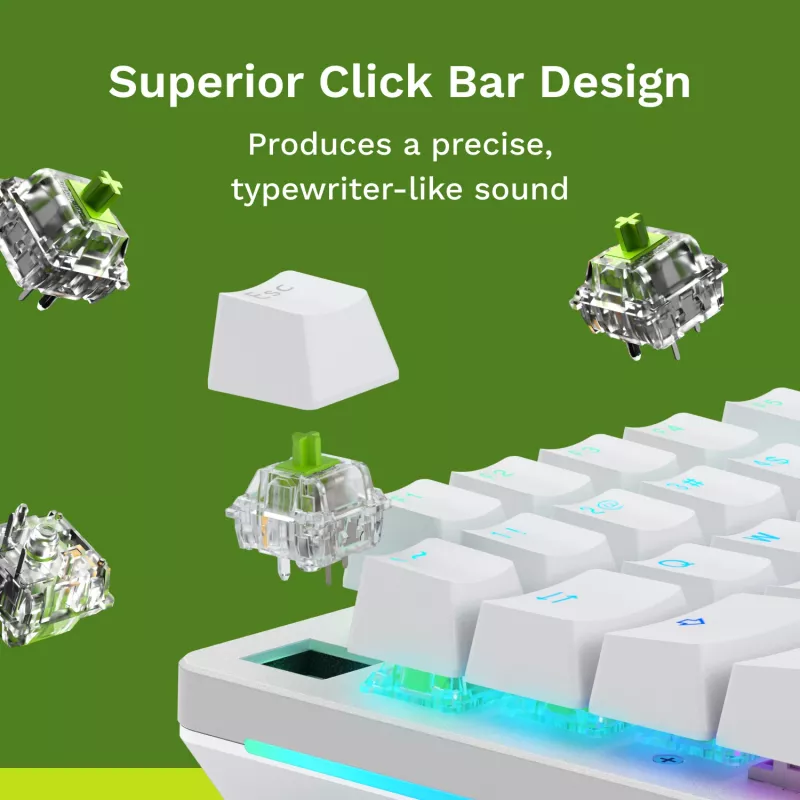 Glorious Gaming Glorious Raptor Clicky Mechanical Switches - 36 Pieces