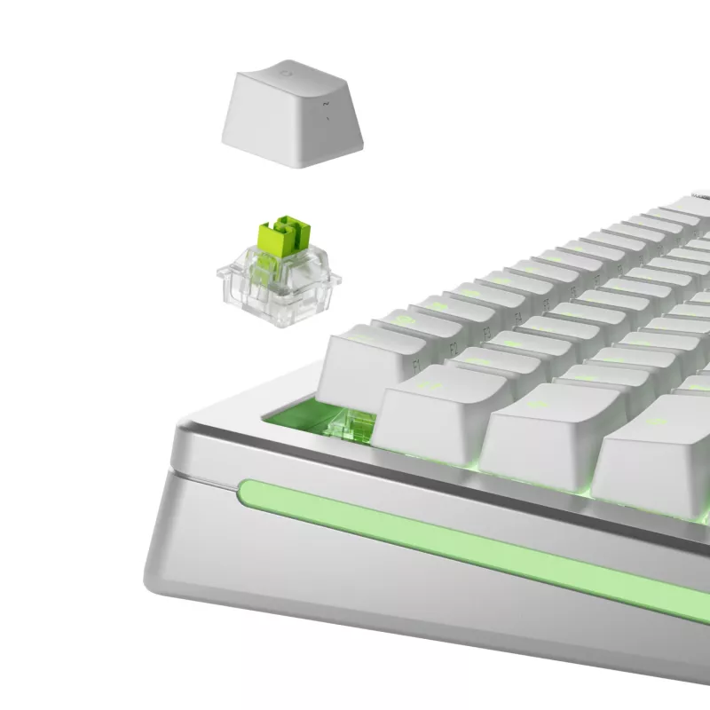 Keyboard switches GLORIOUS Raptor HE — 36 pieces, polycarbonate, light green translucent, for GMMK 3 HE
