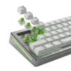 Keyboard switches GLORIOUS Raptor HE — 36 pieces, polycarbonate, light green translucent, for GMMK 3 HE