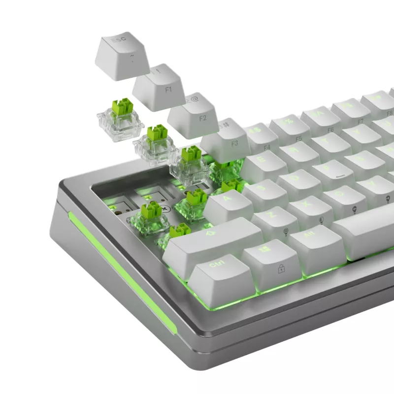 Keyboard switches GLORIOUS Raptor HE — 36 pieces, polycarbonate, light green translucent, for GMMK 3 HE