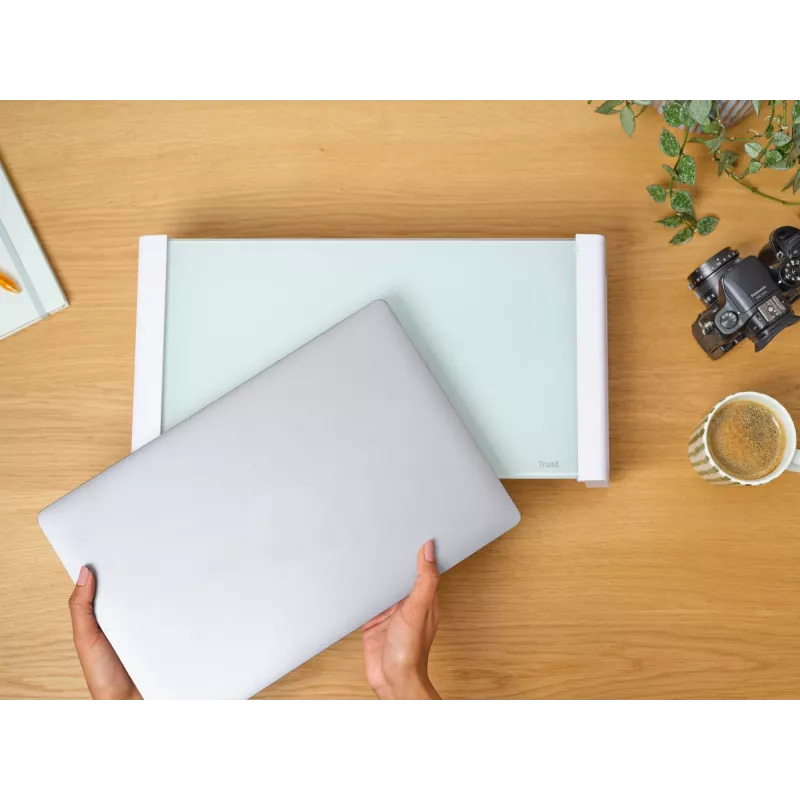 Trust 25351 monitor mount / stand Desk Transparent, White