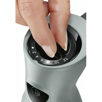 Bosch MSM67170 blender Immersion blender 750 W Black, Silver