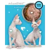 3Coty Duck Wet Cat Food for Adult Cats, 80 g