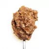 3Coty Turkey with Krill Wet Cat Food for Adult Cats, 80 g