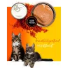 Wet cat food 3coty Chicken with krill for kittens, 80 g, complete feed, sugar-free, gluten- and soy-free
