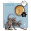 3Coty Turkey with Chicken Wet Cat Food for Kittens, 80 g