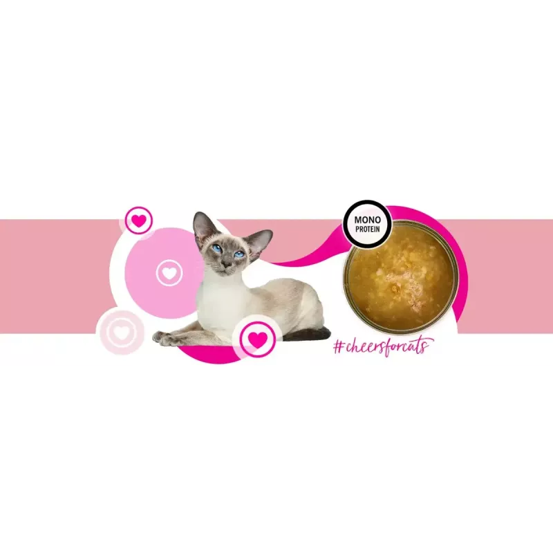 Wet cat food 3coty Turkey Cheers 75 g — adult cats, complementary single-portion pouch, 80% moisture, 6% protein